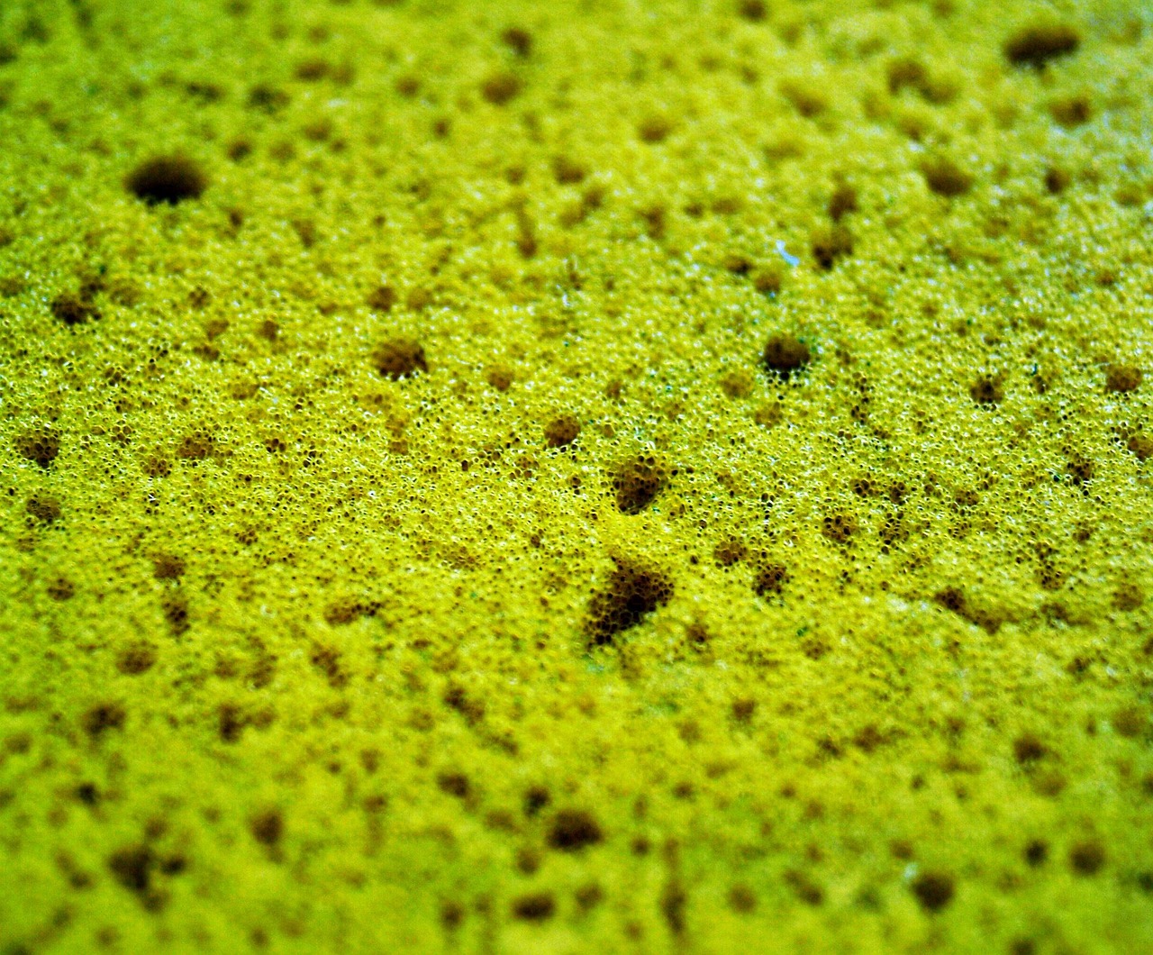 Guida all'uso di Coverplus Fondotinta per nascondere i tatuaggi